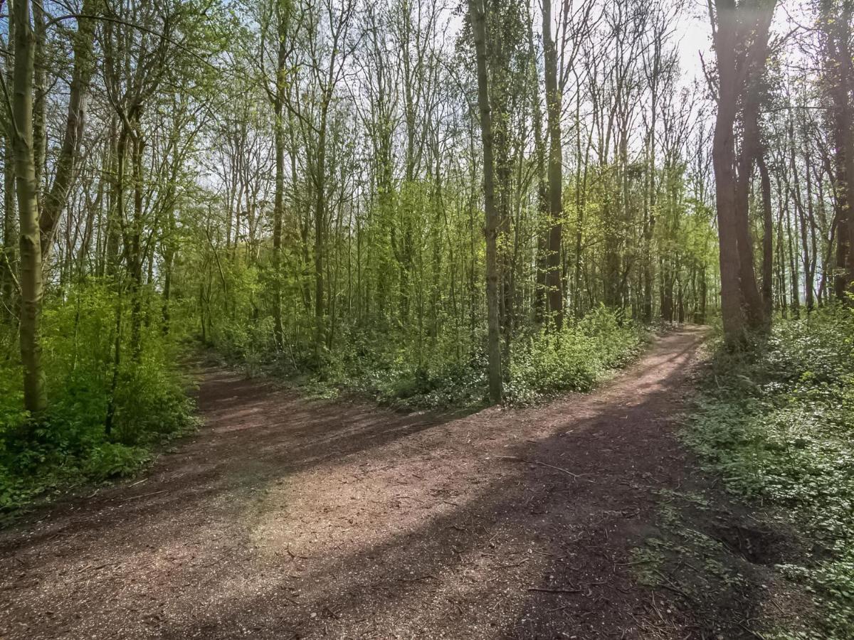 Holiday Home In Noordwijkerhout With Terrace Close To A Lake Exteriör bild