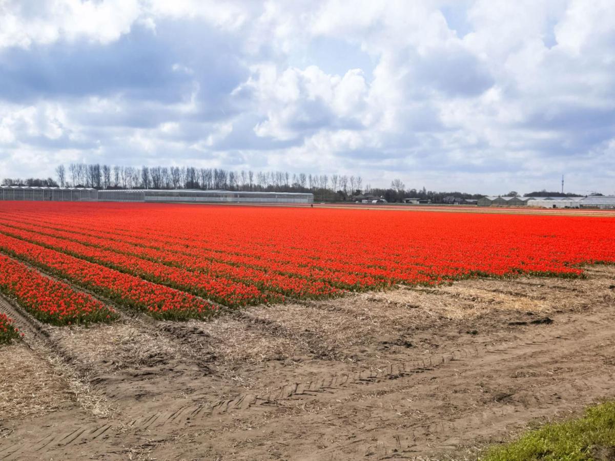 Holiday Home In Noordwijkerhout With Terrace Close To A Lake Exteriör bild